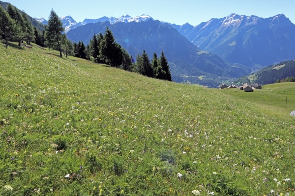 DO Aufmacher FA DO Aufmacher FA