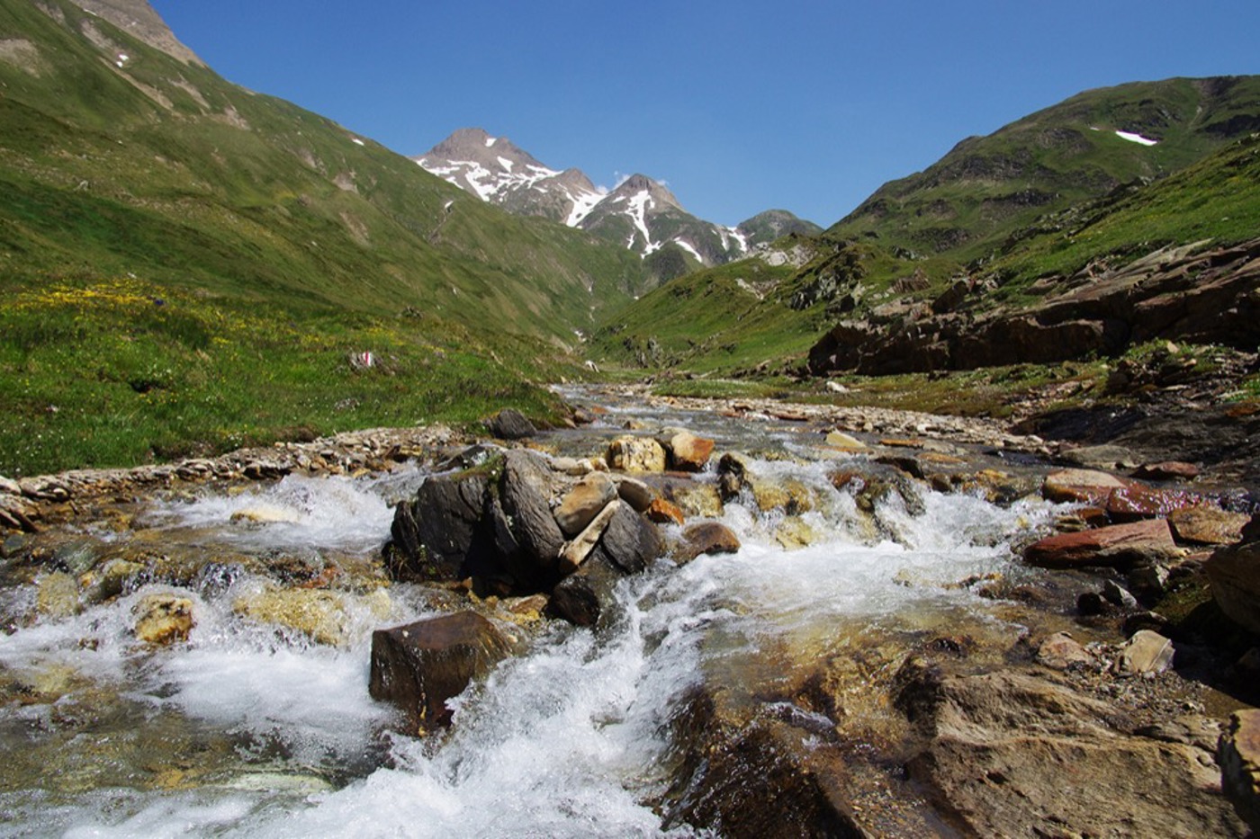 Auf dem Weg zum Gipfel des Binnergale im Binntal wird der wilde Fäldbach überquert. © Brigitte Wolf