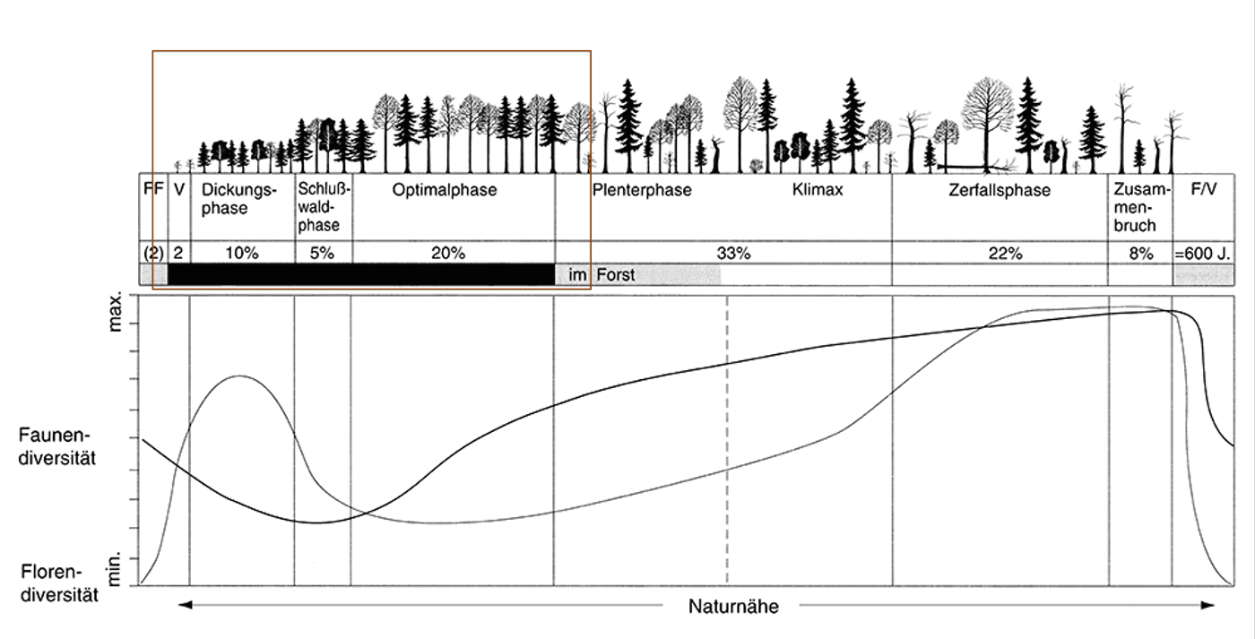 Grafik Lebenszeit Wald