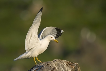 Ein Hauch von Mittelmeer