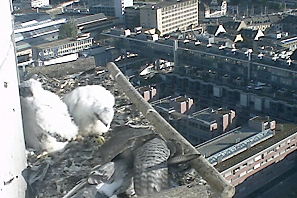 Filmstill13