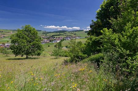 Jetzt die Trendwende einleiten