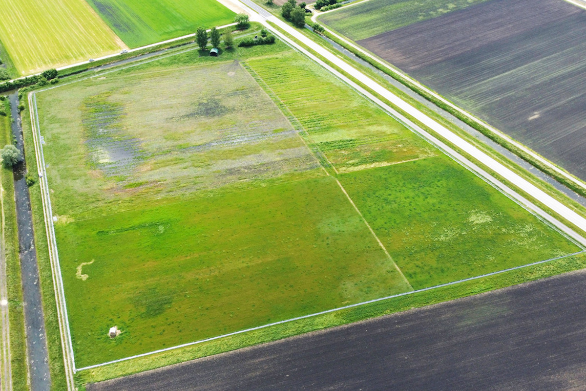 KI DJI 0374 Edit Kopie