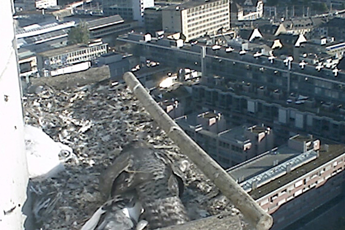 Filmstill7