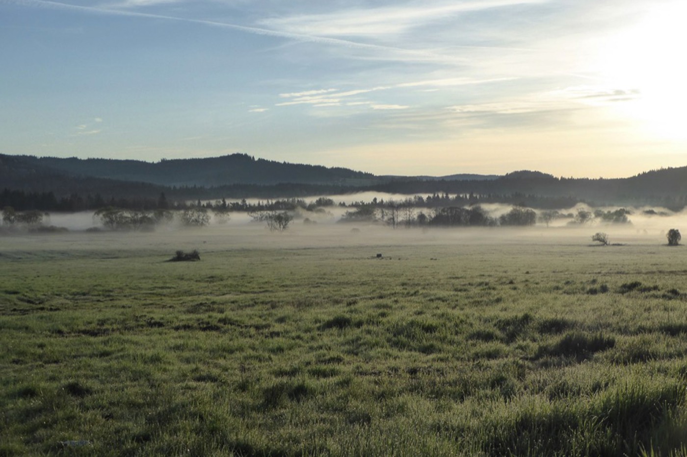 Am frühen Morgen liegen Nebelschwaden über diesem Moor im Böhmerwald. © Karel Fort