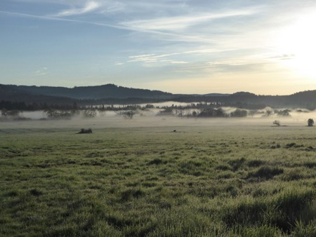 Naturschätze in Hülle und Fülle