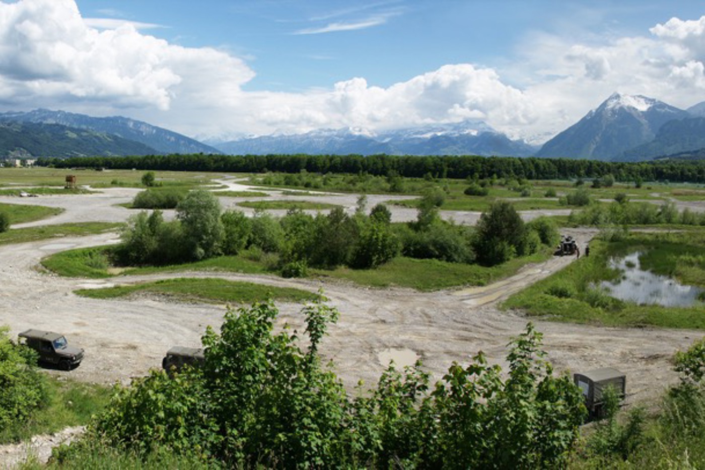 Wo Panzer fahren, entstehen für die Natur wertvolle Pionierstandorte. Das Panzerfahrgelände des Waffenplatzes Thun ist denn auch die Kinderstube vieler Kreuzkröten, Gelbbauchunken und Schwarzkehlchen. © armasuisse