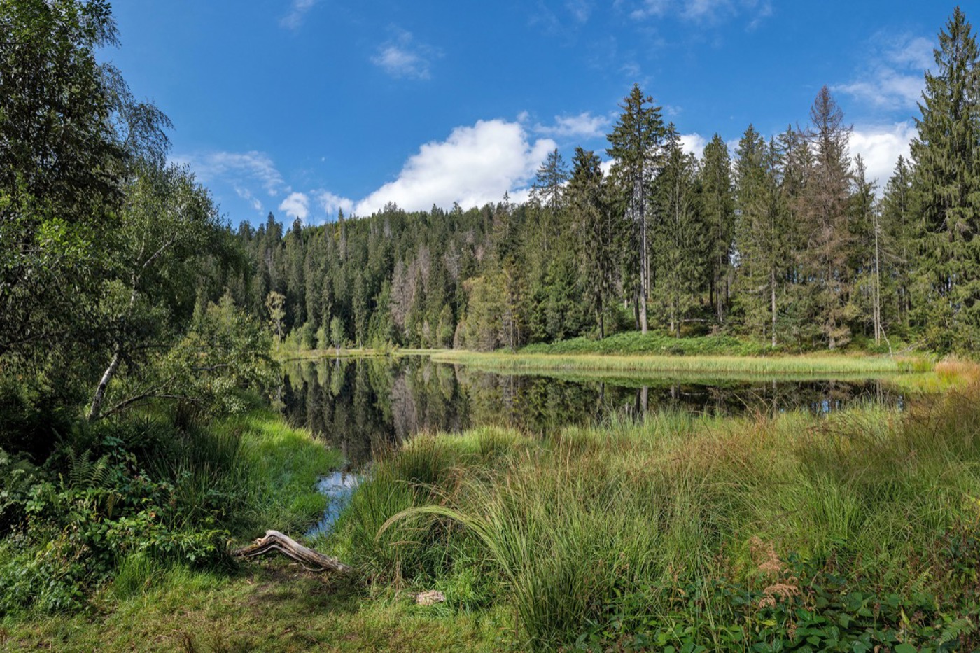 Der Buhlbachsee ist einer von mehreren Karseen im Nordschwarzwald. © mauritius images/Robert Schneider