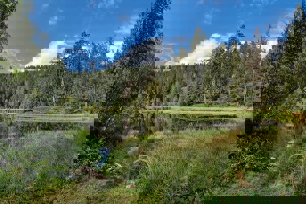 Buhlbachsee Mauritius Images 2G2ETK5(1) (1) Buhlbachsee Mauritius Images 2G2ETK5(1) (1)