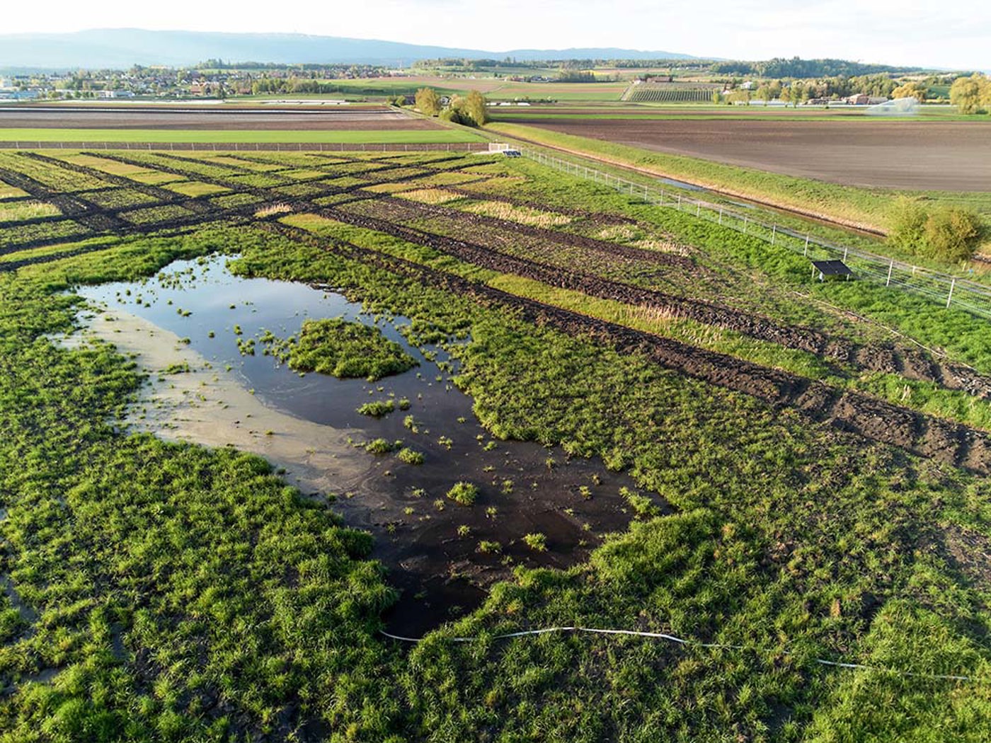 Ki Grosses Moos Drone DJI 0393