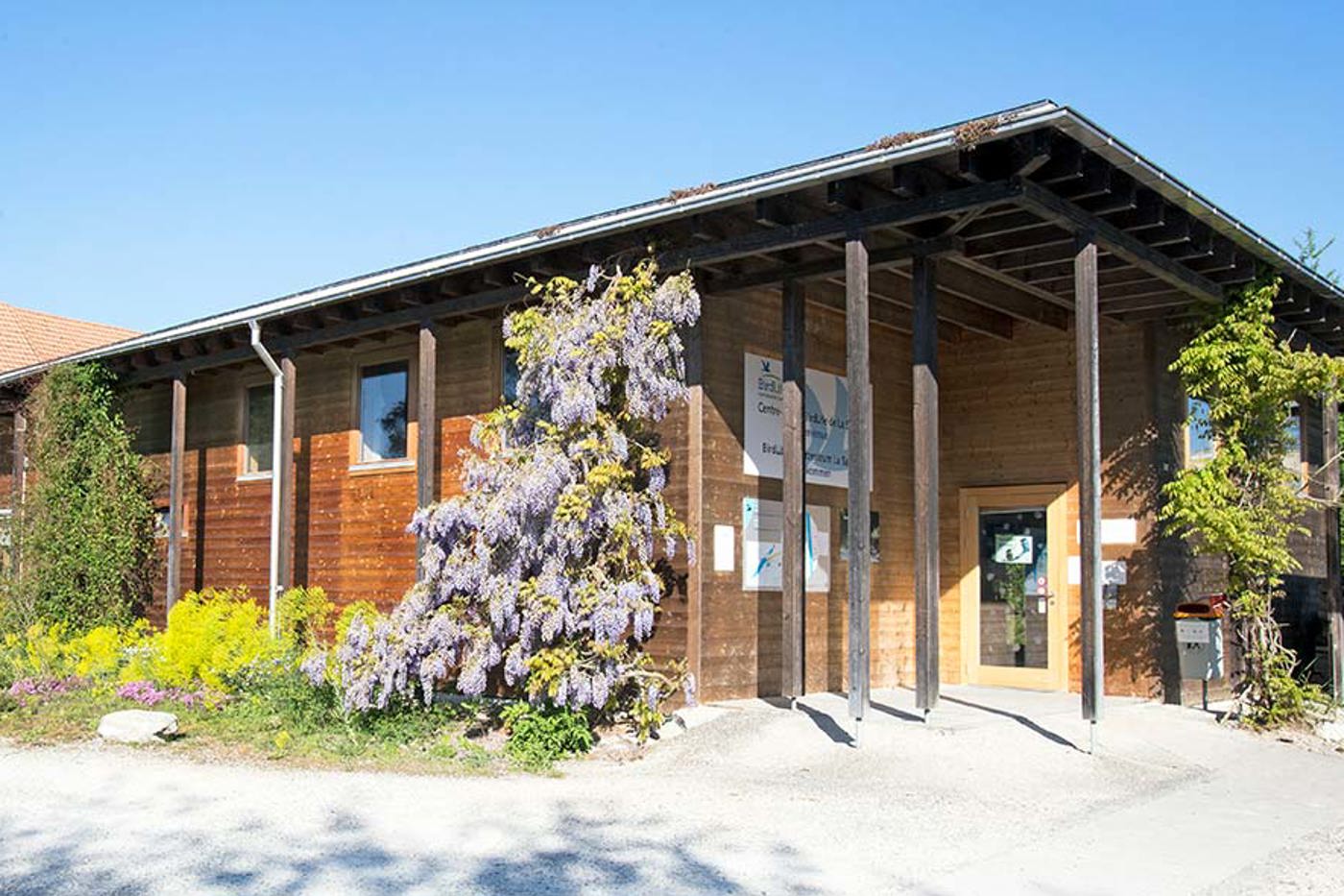 Das BirdLife-Naturzentrum La Sauge besteht aus dem Ausstellungsgebäude und dem Aussenbereich, in dem sich spannende Beobachtungen machen lassen. © BirdLife