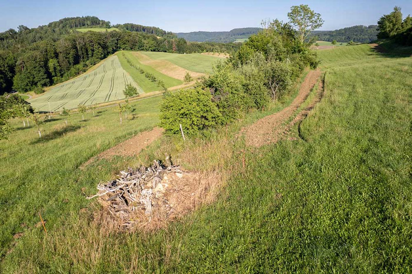 FA Farnsberg Strukturen(1) Edit Kopie