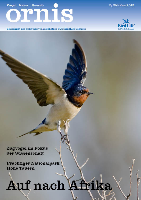 Orn5 13Titel (1)