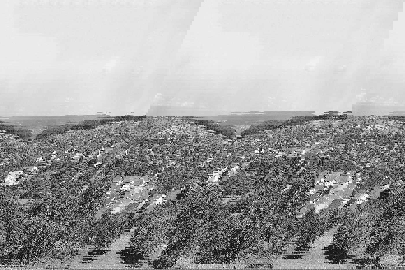 Um 1950 herrschte in weiten Teilen der Schweiz noch traditionelle, vielfältige Landwirtschaft mit ausgedehnten Obstgärten vor (im Bild Arisdorf BL, 1941). © Bildarchiv Kantonale Denkmalpflege Baselland, Liestal, Foto Kling/Hans Eppens, 1941/1942