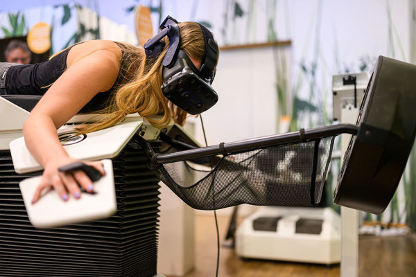 Vogelzug Erleben Simulator