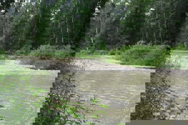 TA Hochwasser RB