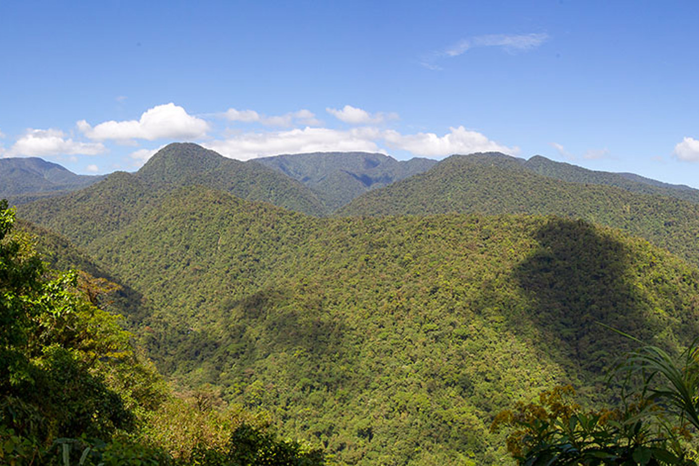 Der Braulio Carillo Nationalpark im Osten von Costa Rica bildet einen Naturkorridor zwischen dem Hochland und dem Karibiktiefland. © Beat Rüegger