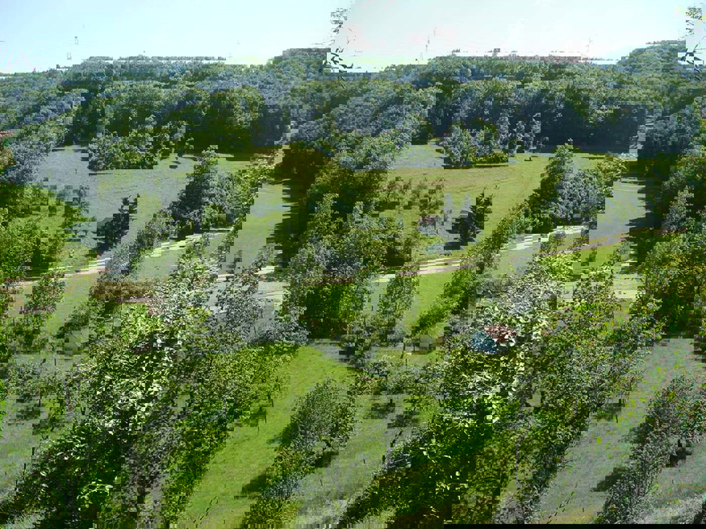 Wald Kulturland DSC04230