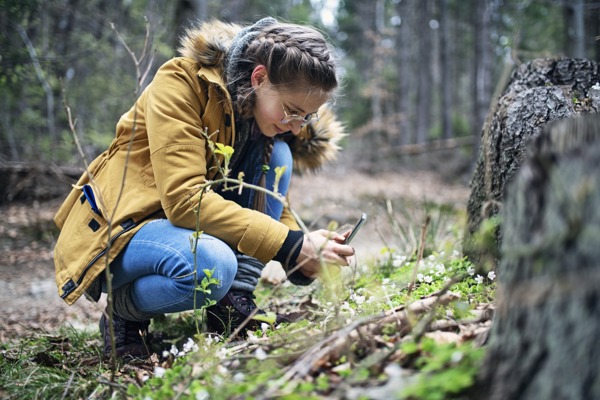 App Smartphone Natur Wald Istock 1221644924