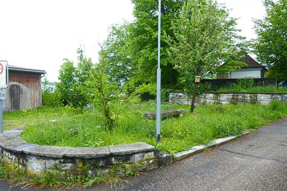 P1110338