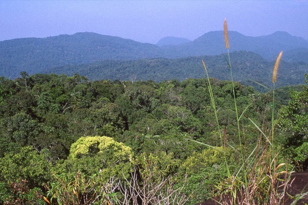 Sri Lanka 01