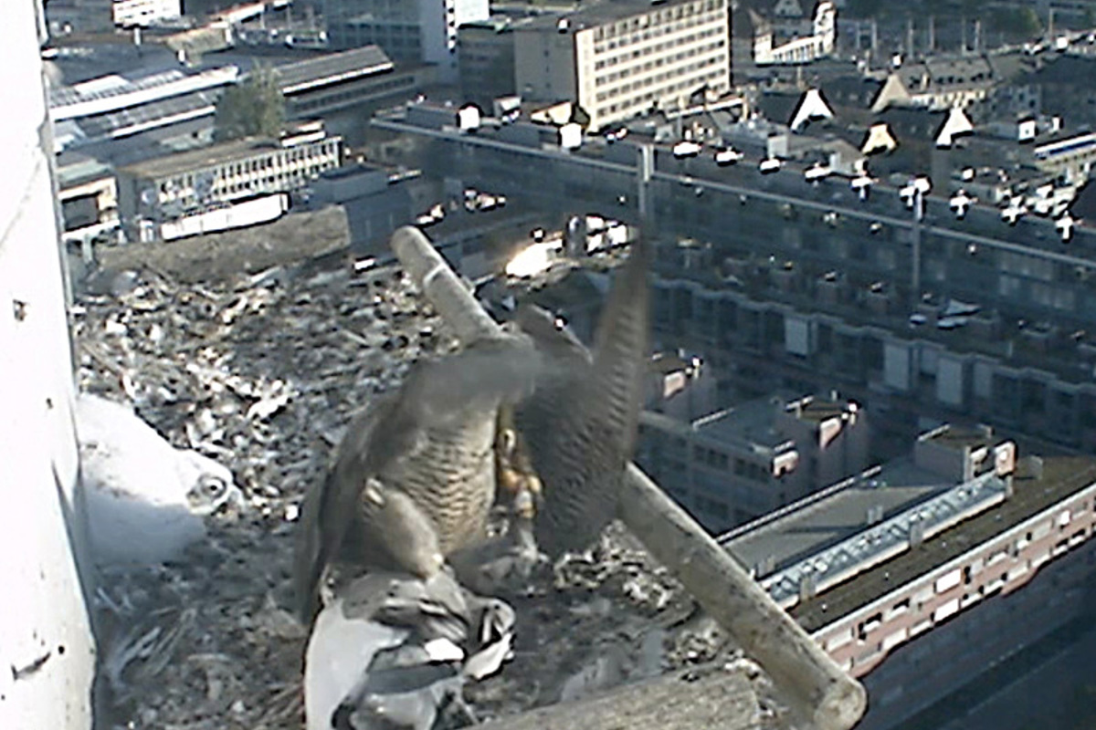Filmstill6