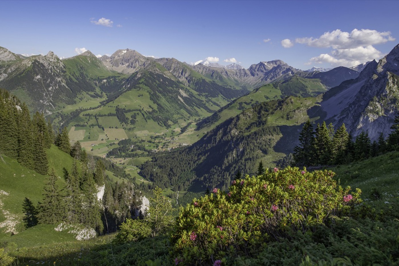 Der Naturpark Diemtigtal erstreckt sich auf einer Fläche von 135,4 km2. © Naturpark Diemtigtal/Martin Wymann