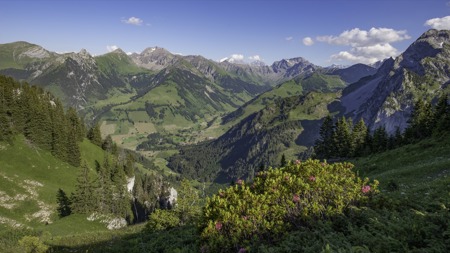 Zwischen Alpwirtschaft und Schutz