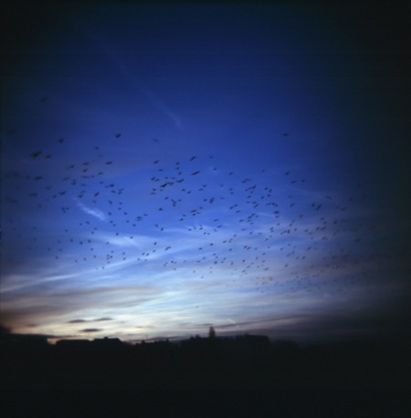 Vogel-Wolken auf dem Radarschirm