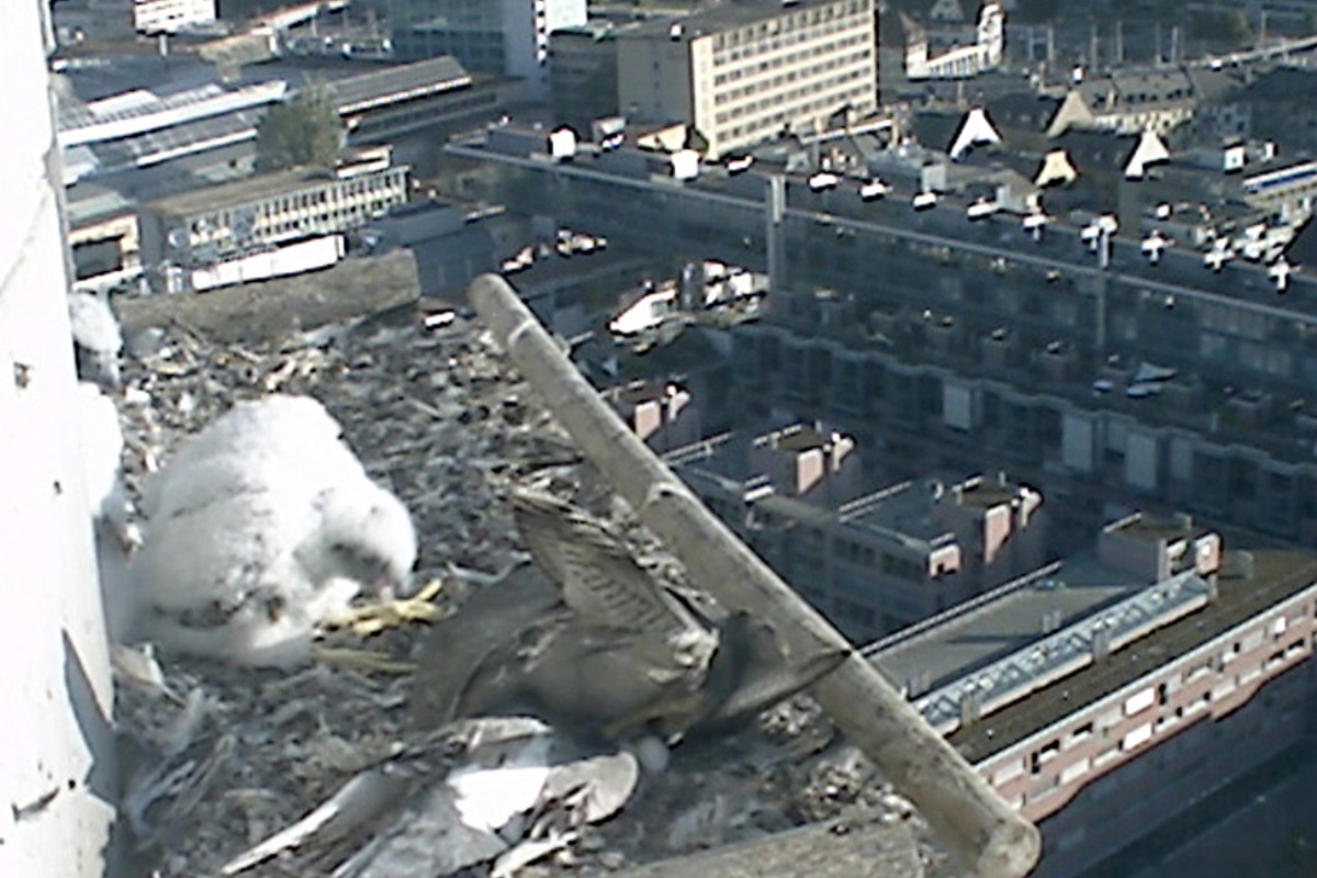 Filmstill9