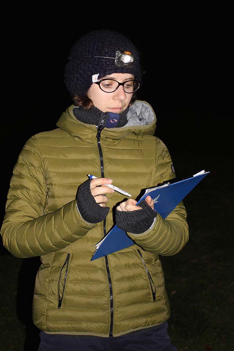 WK Birdlife