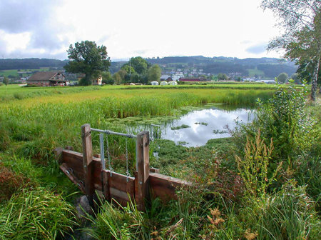 Verlangsamen, verteilen,  versickern