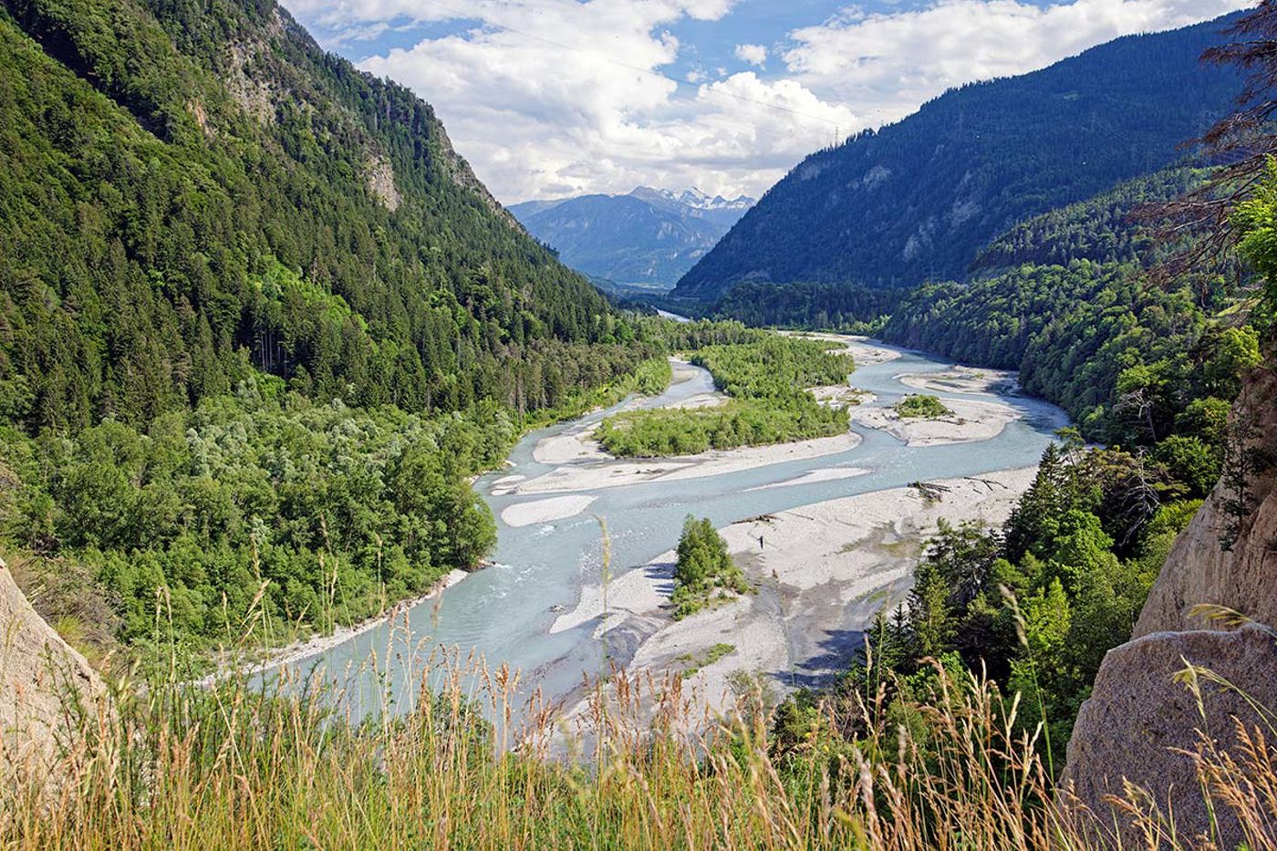 Die Kürzung der Mittel für die Natur würde unter anderem die Biotope von nationaler Bedeutung weiter gefährden. Zu diesen gehören z. B. die Rhäzünser Rheinauen. © Jan Ryser