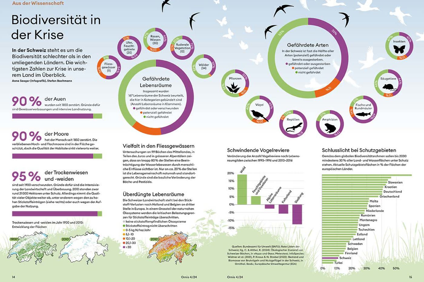 Grafik aus Ornis 4/24