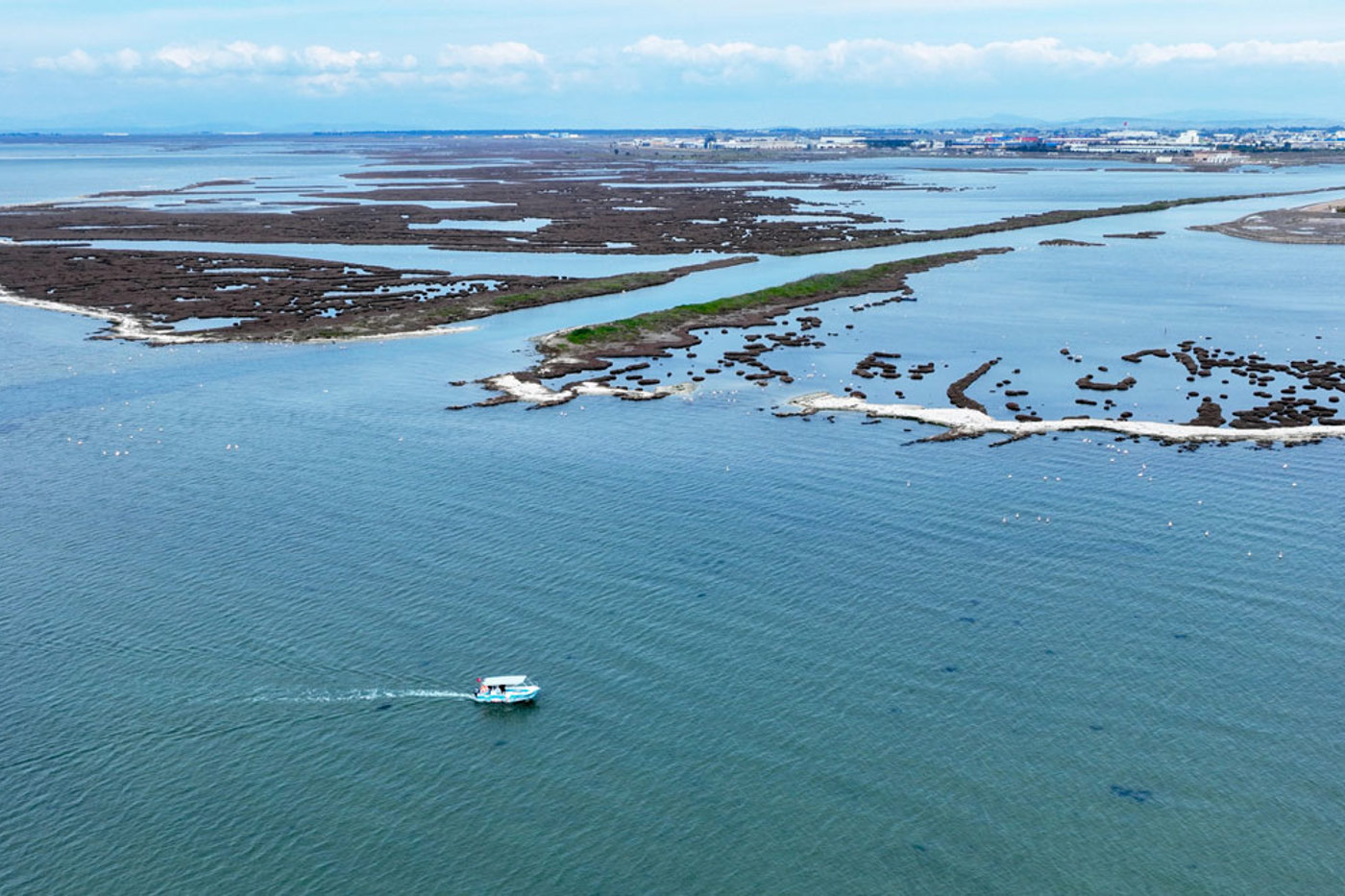 Im Gediz-Delta im Westen der Türkei ist die Wiederherstellung eines dynamischen Gezeitenökosystems geplant. © Doğa/BirdLife Türkei Im Gediz-Delta im Westen der Türkei ist die Wiederherstellung eines dynamischen Gezeitenökosystems geplant. © Doğa/BirdLife Türkei