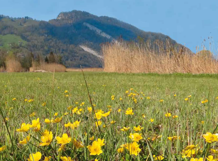 Biodiversitätskrise: der Realität ins Auge blicken!