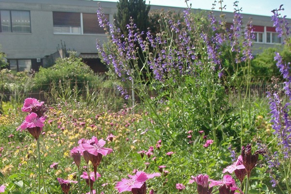 SI DSC02068 SI DSC02068