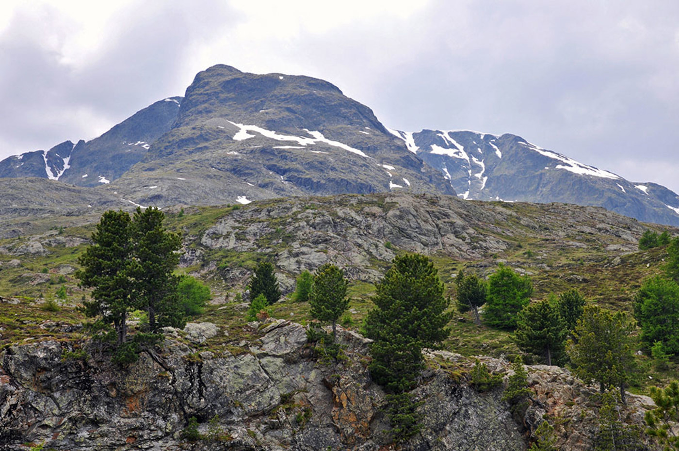 Tannenhaenger Waldgrenze