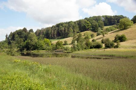 Freie Fahrt für Frosch & Hase