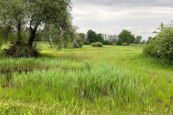 ÖI Schoren Schachen In Mühlau SB Kopie