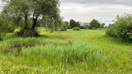 Ökologische Infrastruktur: Der Grundstein ist gelegt