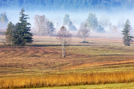 Im Einsatz für die Wiesenbrüter