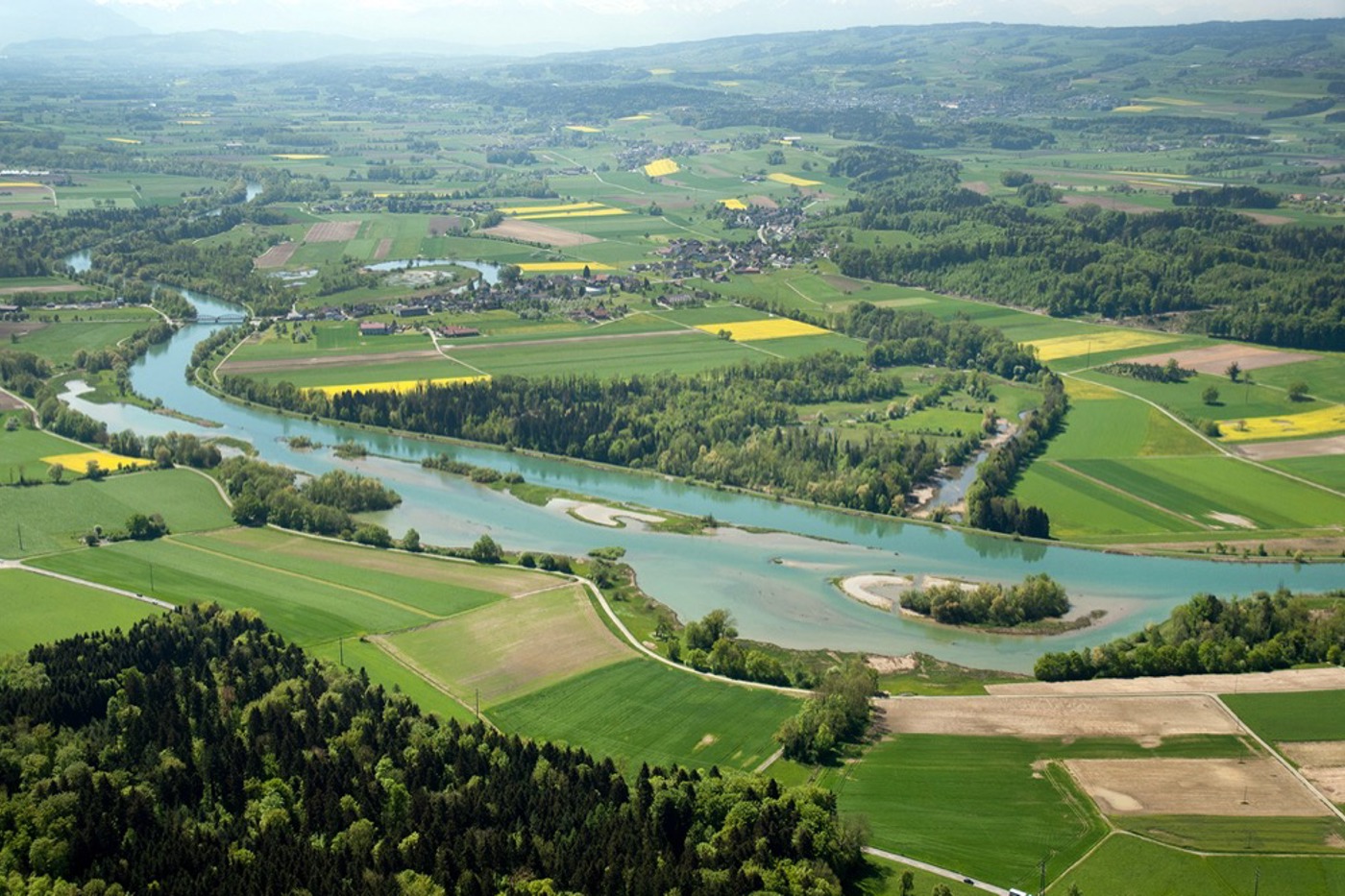 Die aufgestaute Reuss bei Unterlunkhofen bildet den Flachsee, welcher sich zu einem Wasservogelgebiet von nationaler Bedeutung entwickelt hat. Im Hintergrund links ist die ehemalige Flussschlaufe Stille Reuss erkennbar. © Oekovision GmbH