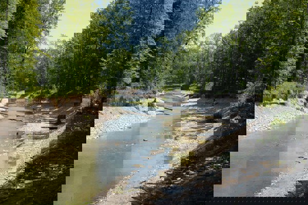 Auen Rupperswil 110518 3