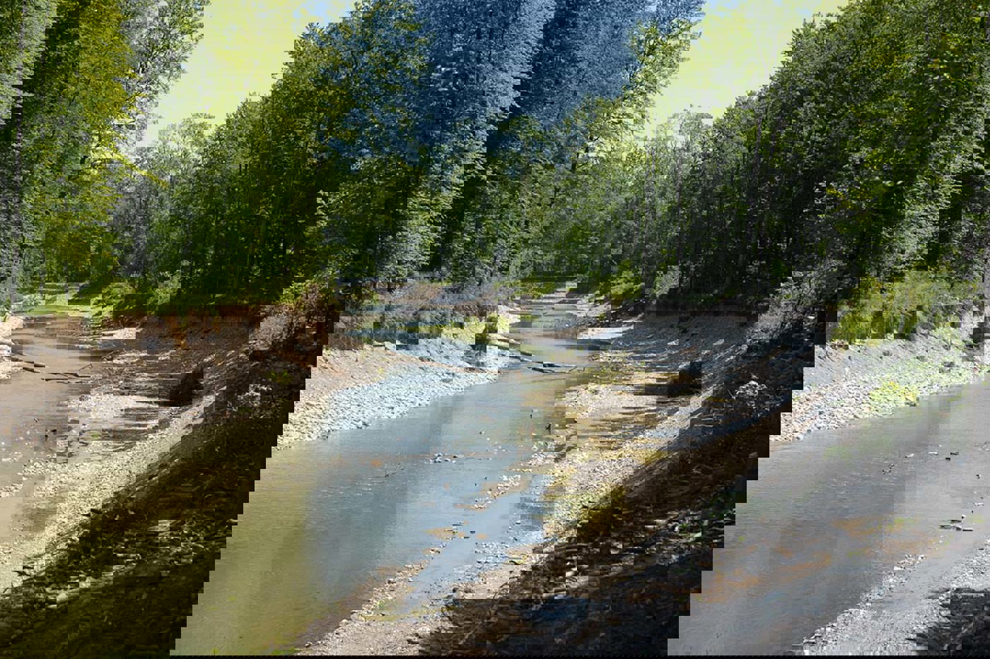 Die dynamische Flussaue in Rupperswil AG wurde künstlich mit Maschinenkraft  erstellt. Die Feinmodellierung übernahm das erste Hochwasser. © Oekovision GmbH, 8976 Widen