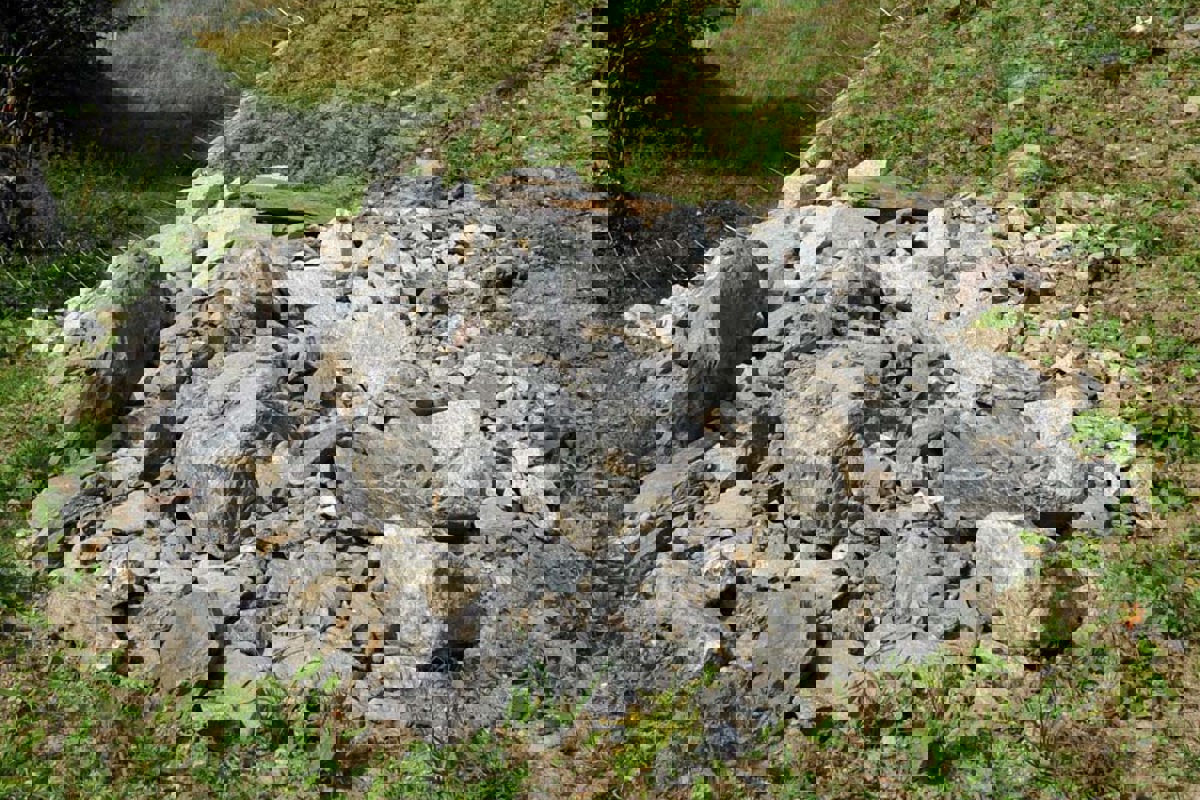 Reptilien3 (1)