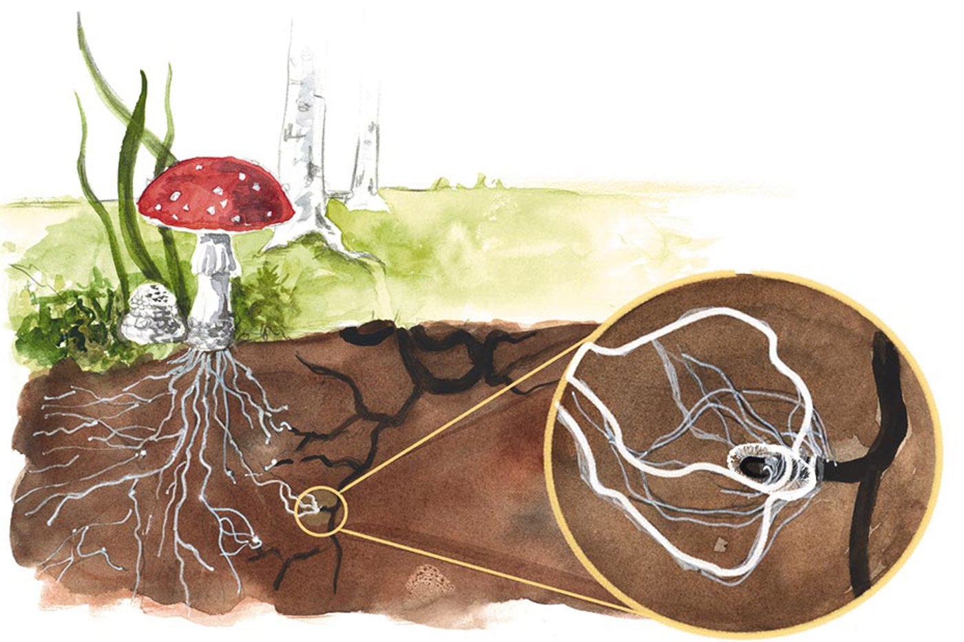 © Maeva Arnold © Maeva Arnold