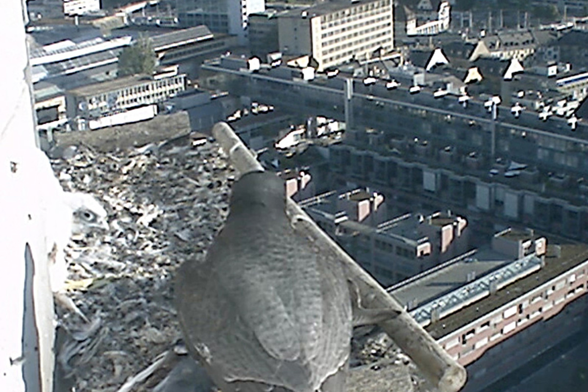Filmstill11