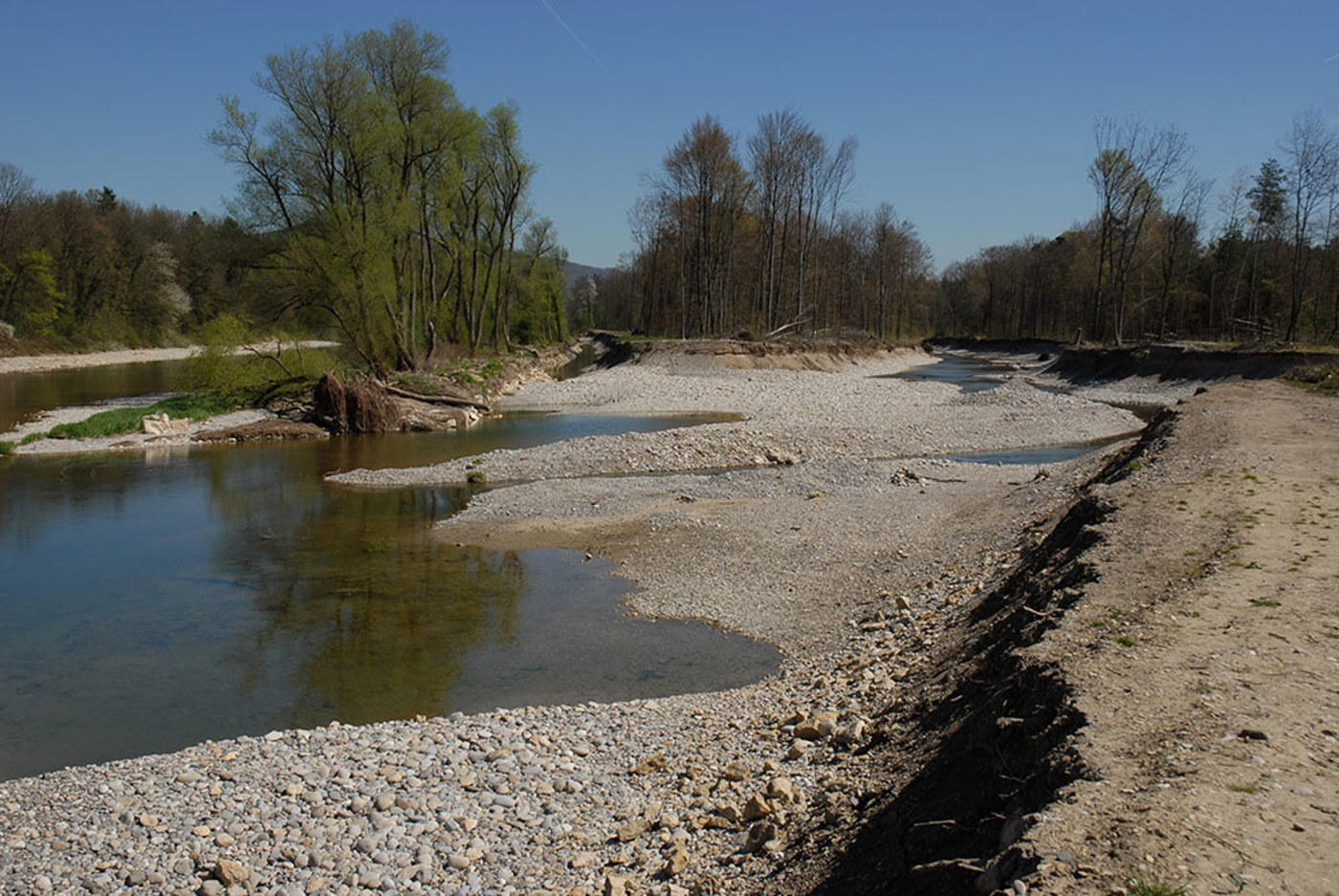 Auen Kiesinseln Rupperswil 110407 4