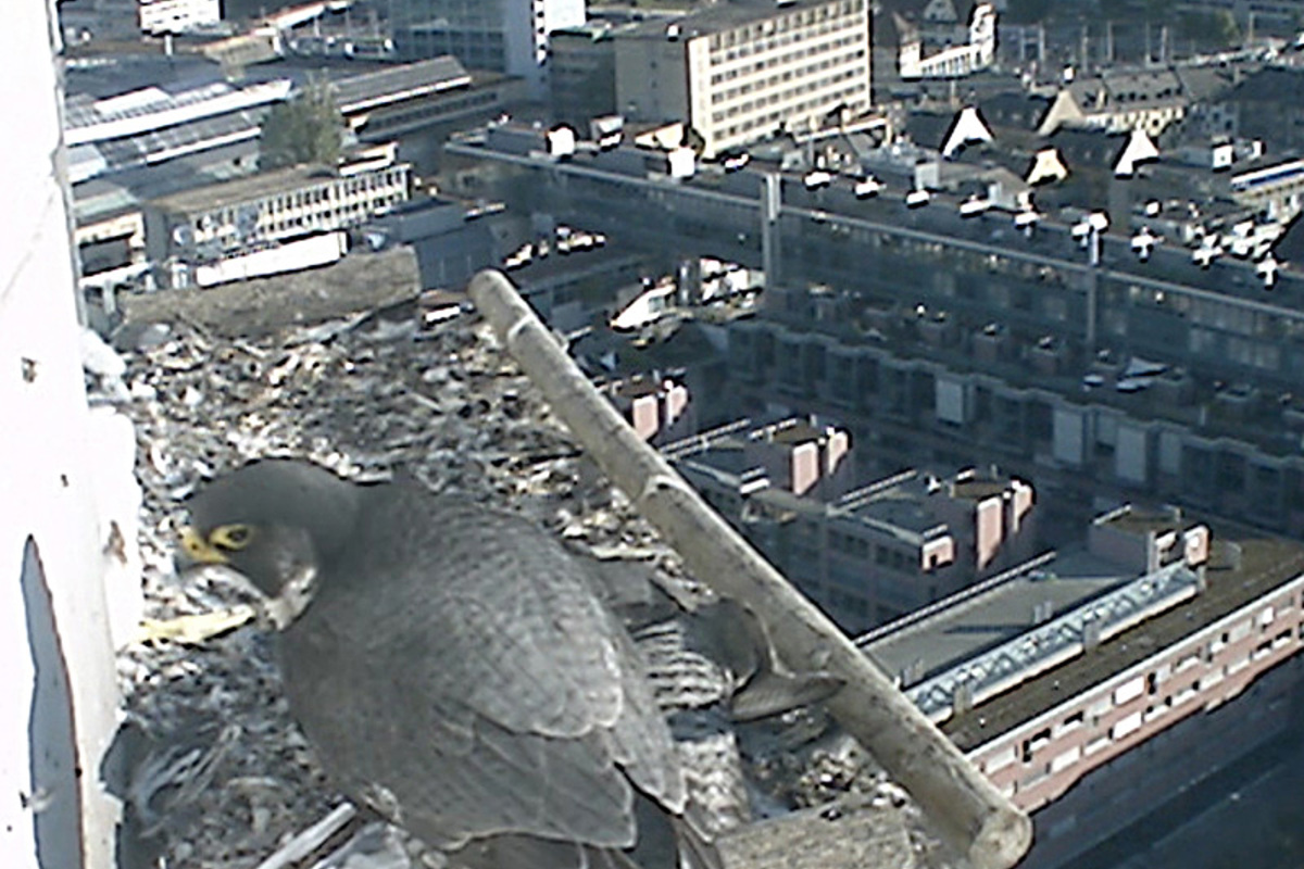 Filmstill12